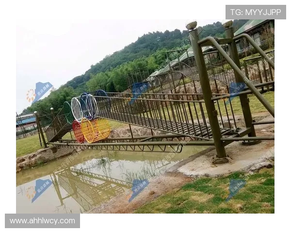 攀岩心理素质实力榜单权威发布揭示顶尖选手心理优势与挑战