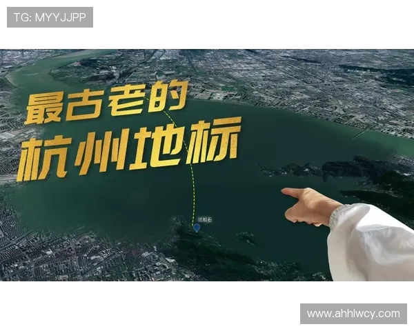 杭州排球队整体表现分析：压制与失误的双重影响探讨